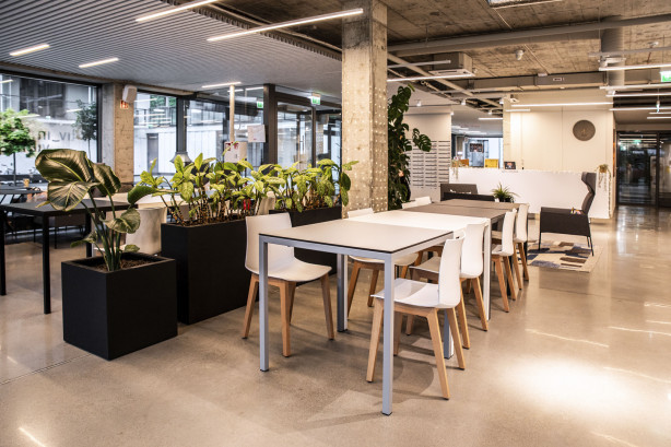 Liv_in Vilnius pictures