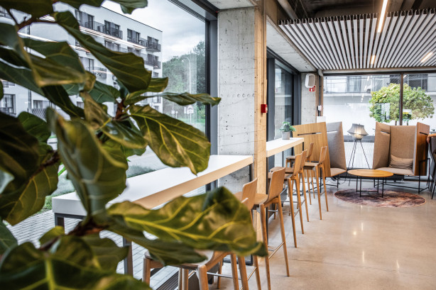 Liv_in Vilnius pictures